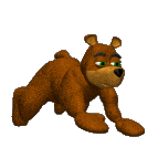 bear_running_fours_lc