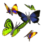 butterflies_different_a_lc
